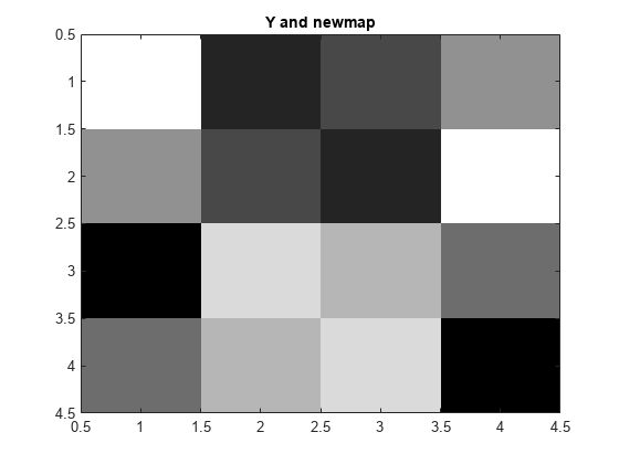 图中包含一个坐标轴。标题为Y和newmap的轴包含一个image类型的对象。