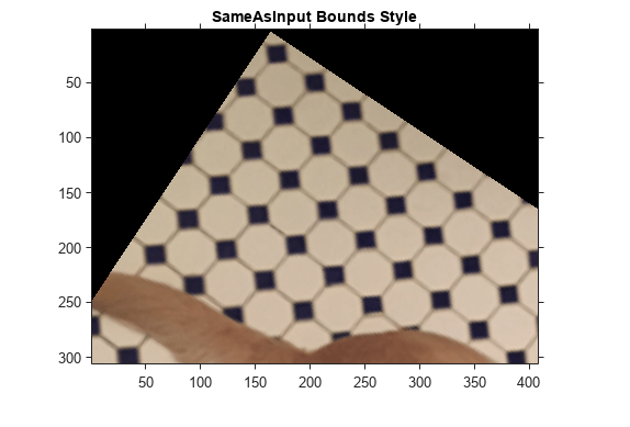 图中包含一个轴对象。标题为SameAsInput Bounds Style的axes对象包含一个image类型的对象。